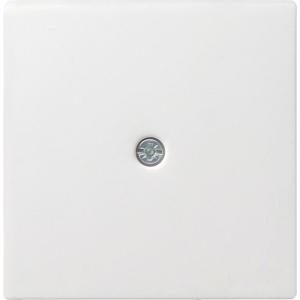 Zentraleinsatz Schnura. RG GIRA f³r Schnurableitung 027403 (4010337274032)