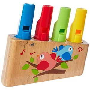 TOYNAMICS Hape Regenbogen-Panflöte (6943478010062)
