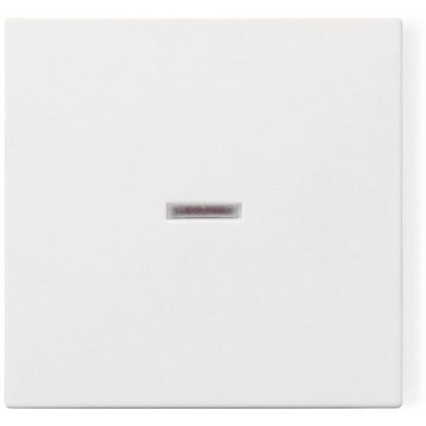 Wippe Kontrollschalter RG GIRA f³r 029003 (4010337290032)