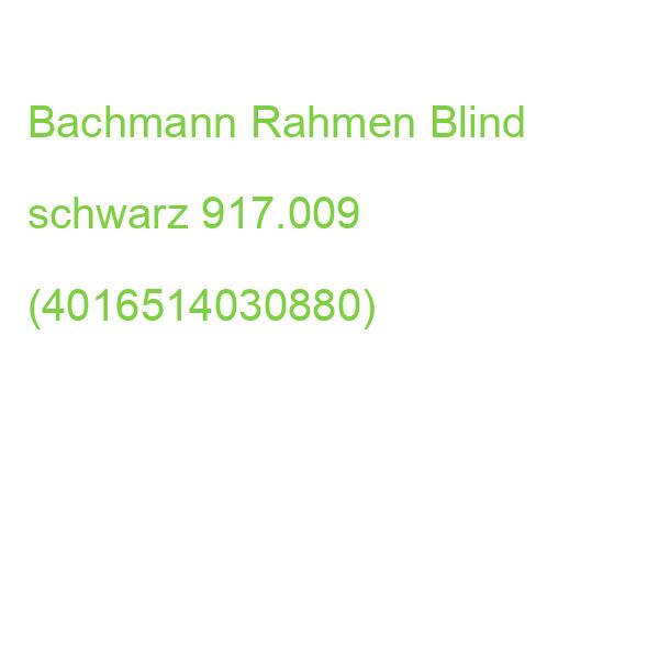 3 Stück Bachmann Rahmen Blind schwarz 917.009 (4016514030880)