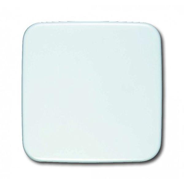 2546-214 Wippe mit neutralem Symbol BUSCH-JAEGER AUS/WECHSEL ANSCHRAUBBAR 2CKA001434A0554 (4011395052204)