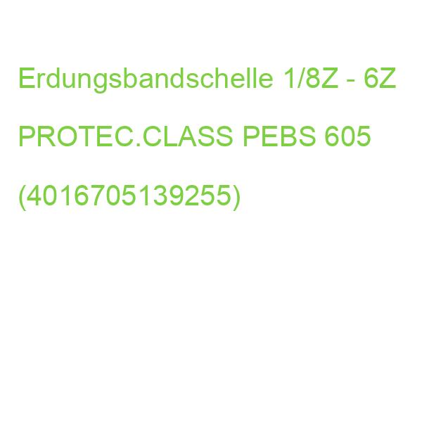 Erdungsbandschelle 1/8Z - 6Z PROTEC.CLASS PEBS 605 (4016705139255)