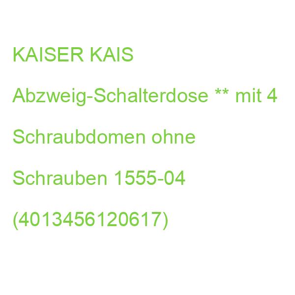 KAIS Abzweig-Schalterdose ** mit 4 Schraubdomen ohne Schrauben 1555-04 (4013456120617)