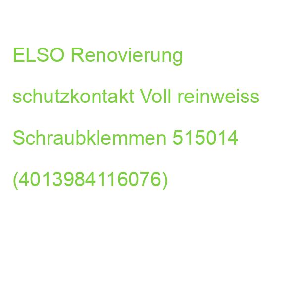 ELSO Renovierung schutzkontakt Voll reinweiss Schraubklemmen 515014 (4013984116076)