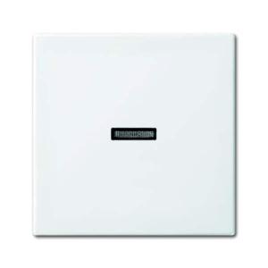 1789 N-914 Wippe Kontrollf. BUSCH-JAEGER 2CKA001731A2009 (4011395190272)