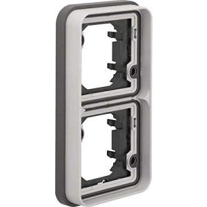 Berker Rahmen 2fach senkrecht W.1 lichtgrau 13293515 (4011334405146)