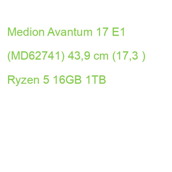 Medion Avantum 17 E1 (MD62741) 43,9 cm (17,3 ) Ryzen 5 16GB 1TB