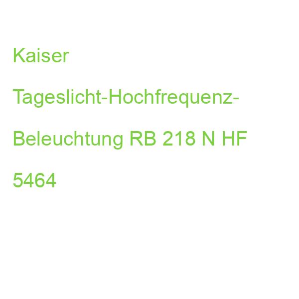 Kaiser Tageslicht-Hochfrequenz- Beleuchtung RB 218 N HF 5464