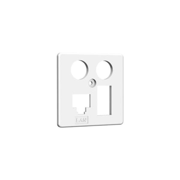 HW Zentralplatte ZP-EK4 LAN/TAE 50mm rw HAXHSE-G0401-C024 (4250679710113)