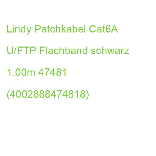LINDY Patchkabel Cat6A U/FTP Flachband schwarz 1.00m 47481 (4002888474818)