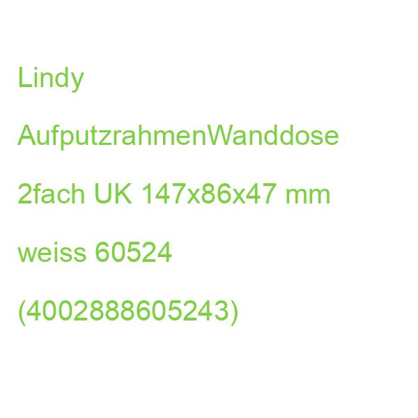 LINDY AufputzrahmenWanddose 2fach UK 147x86x47 mm weiss 60524 (4002888605243)