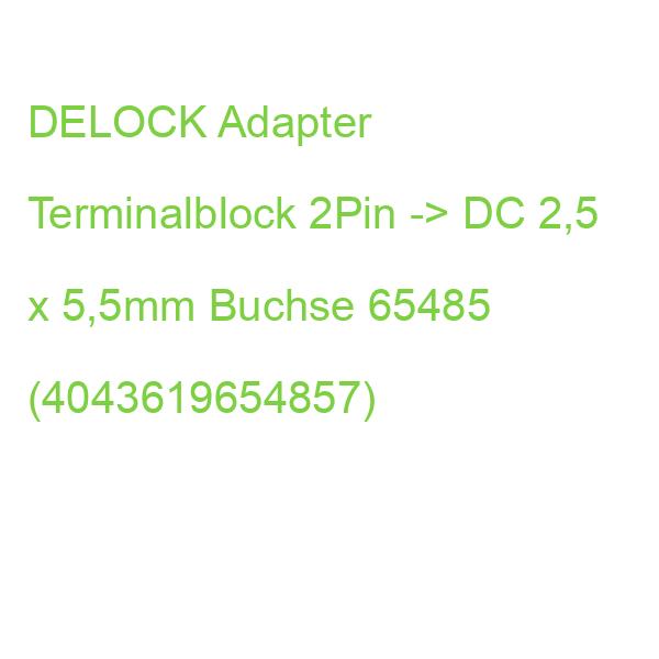 DELOCK Adapter Terminalblock 2Pin -> DC 2,5 x 5,5mm Buchse 65485 (4043619654857)
