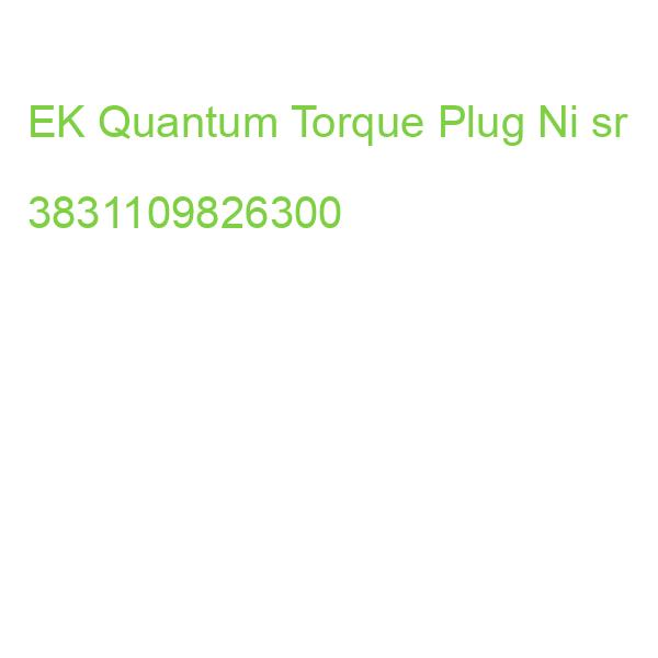 EK-Quantum Torque Plug - Nickel (nickel) 3831109826300