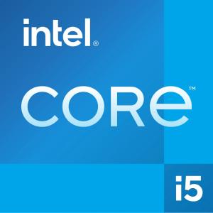 Intel S1700 CORE i5 12600K TRAY 10x3.7 125W GEN12 CM8071504555227