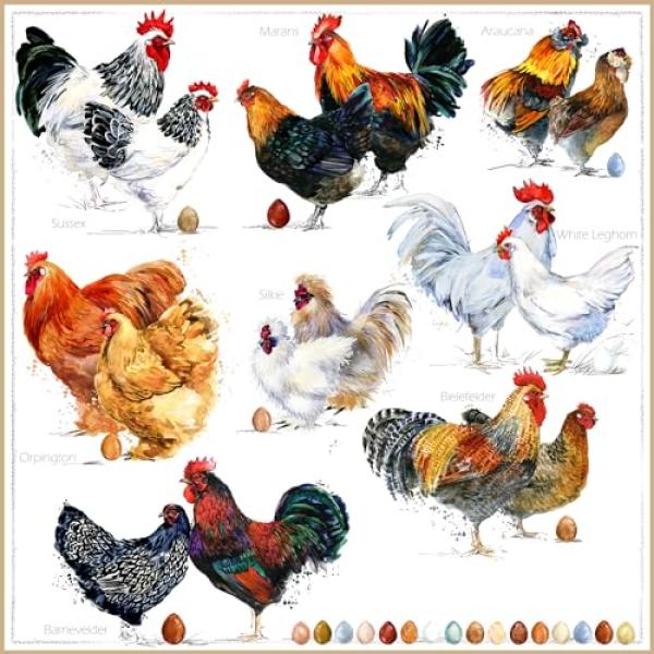 JET_PAPIER ti-flair Servietten Poulets 33x33cm 20 Stück 3-lagig (4103070054174)
