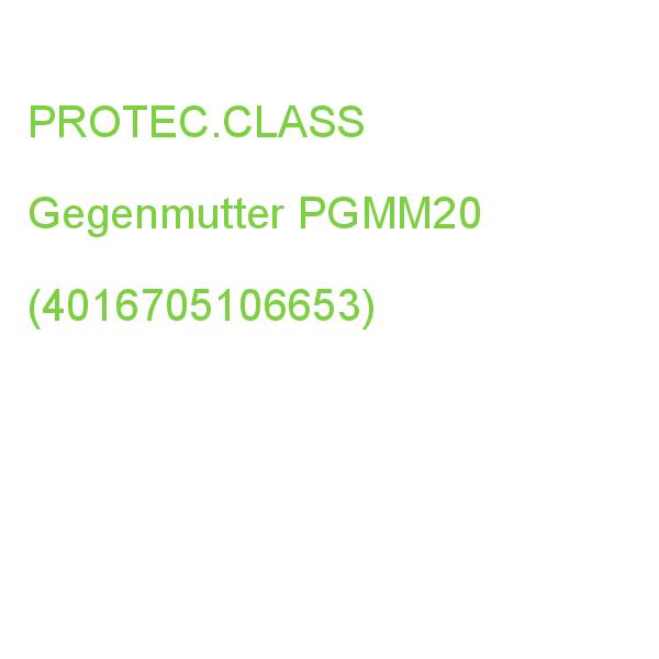 PROTEC.CLASS Gegenmutter PGMM20 (4016705106653)