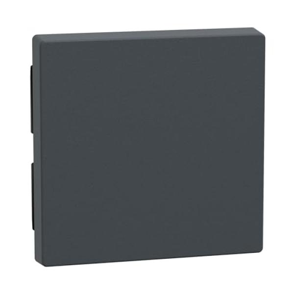 Wippe anthrazit MERTEN 433114 (4011281894178)