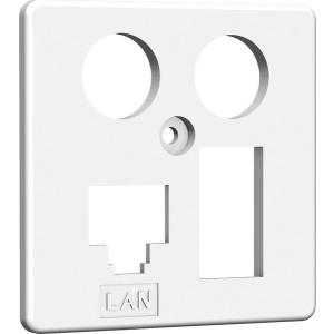 HW Zentralplatte ZP-EK4 LAN/TAE 50mm rw HAXHSE-G0401-C024 (4250679710113)