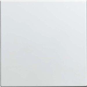 1576 C-914 Zent.Sch.InfoL Blind BUSCH-JAEGER 2CKA001582A0401 (4011395192580)