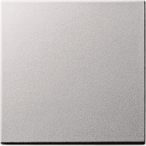 Wippe f. Wipptaster Alu GIRA 029626 (4010337296263)