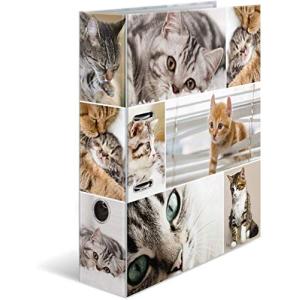 HERMA Ordner A4 Katzen 7166 (4008705071666)