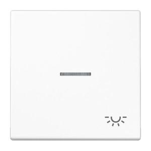 JG Wippe mit Symbol LS 990 KO5L WW"""Licht""" LS990KO5LWW (4011377344259)