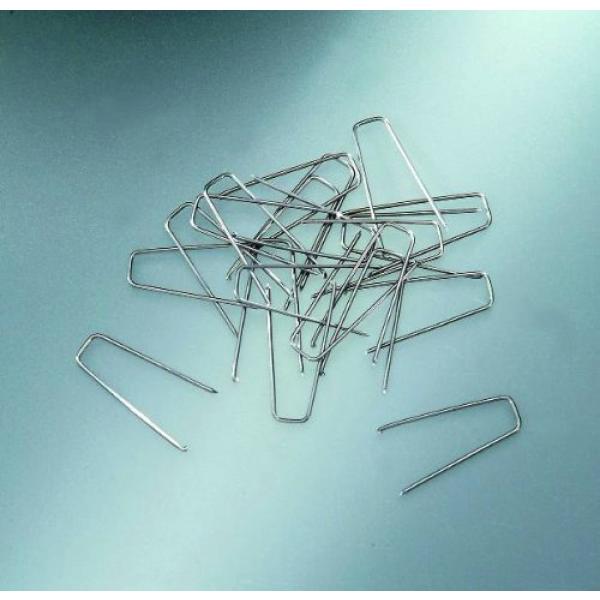 GLOREX Strohblumennadeln 6x25mm 100 Stück