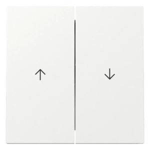 GIRA Wippe 2f Pfeil FL RW 329470 (4010337118992)