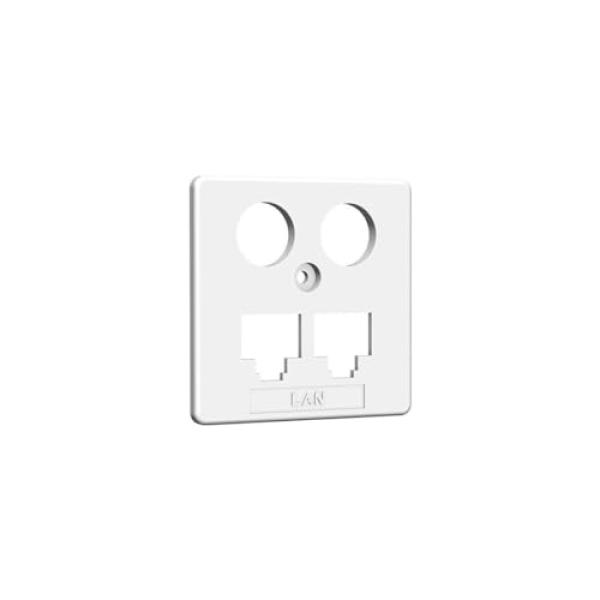 HW Zentralplatte ZP-EK1 LAN/LAN 50mm rw HAXHSE-G0401-C021 (4250679710083)