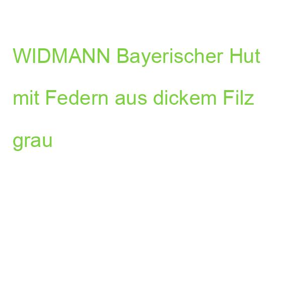 WIDMANN Bayerischer Hut mit Federn aus dickem Filz grau