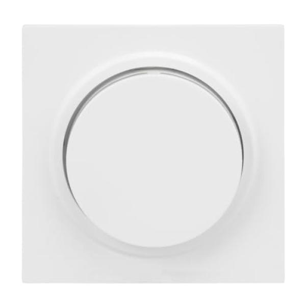 6540-44G-102 Zentralscheibe Drehdimmer BUSCH-JAEGER Drehknopf 2CKA006599A3052 (4011395326589)