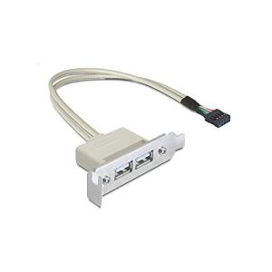 DELOCK Slotblech 2x USB A 83119 (4043619831197)