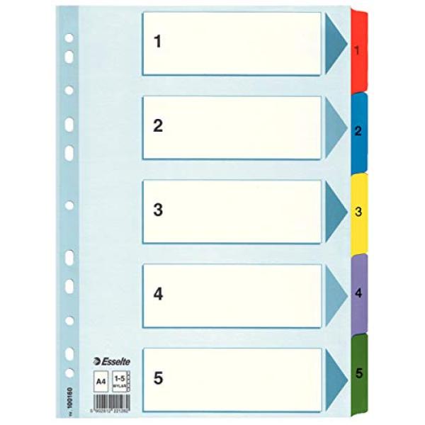 Esselte Ordnerregister Din A4 Vollformat 1-5 Farbig 5-teilig, 1 Satz 100160 (5902812221282)