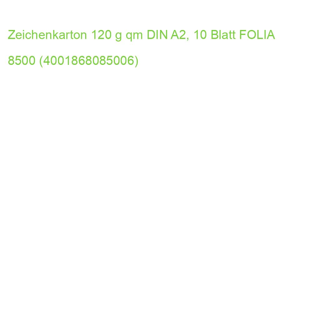 Zeichenkarton 120 g qm DIN A2, 10 Blatt FOLIA 8500 (4001868085006)