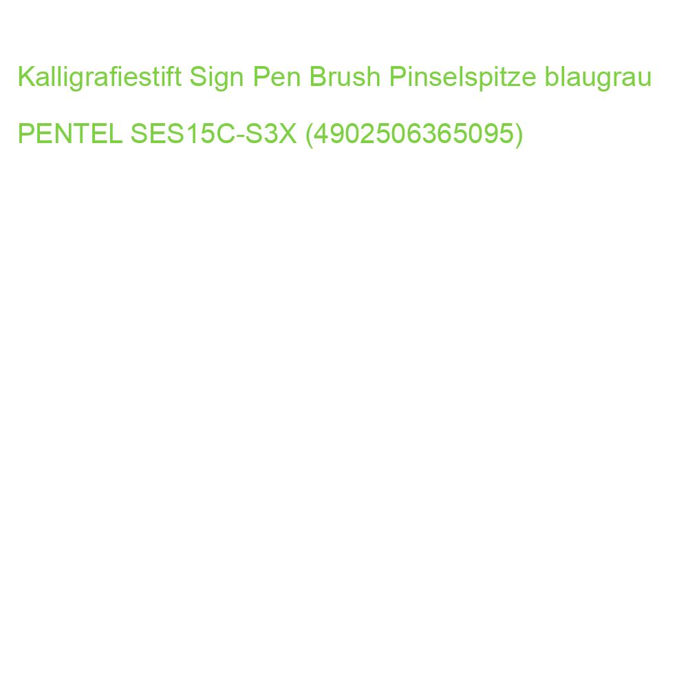 Kalligrafiestift Sign Pen Brush Pinselspitze blaugrau PENTEL SES15C-S3X (4902506365095)