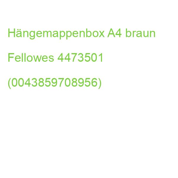 Heavy-Duty Hängemappenarchiv Bankers Box 4473501 (0043859708956)