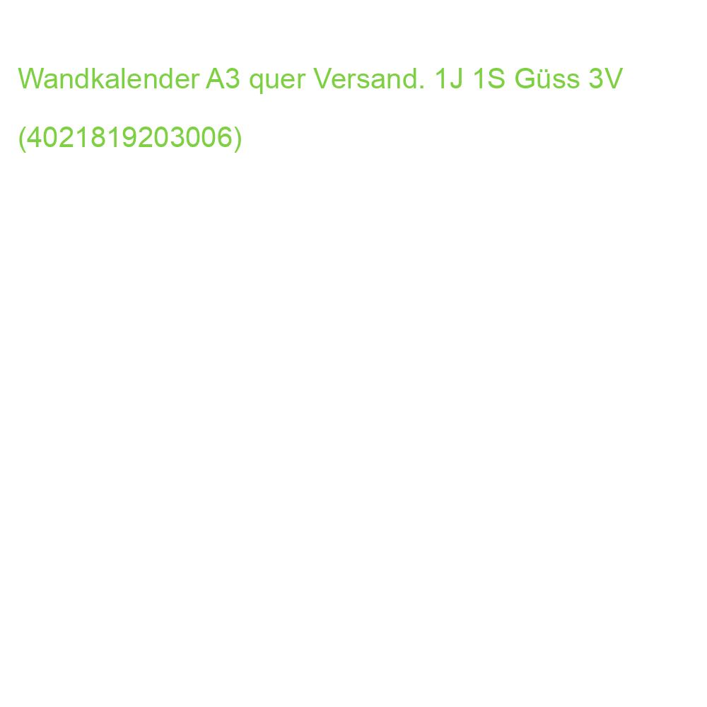 Jahresübersicht A3, quer GÜSS 3V (4021819203006)