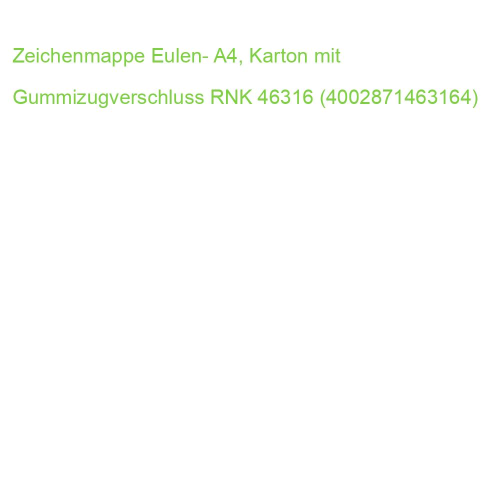 Zeichenmappe Eulen- A4, Karton mit Gummizugverschluss RNK 46316 (4002871463164)