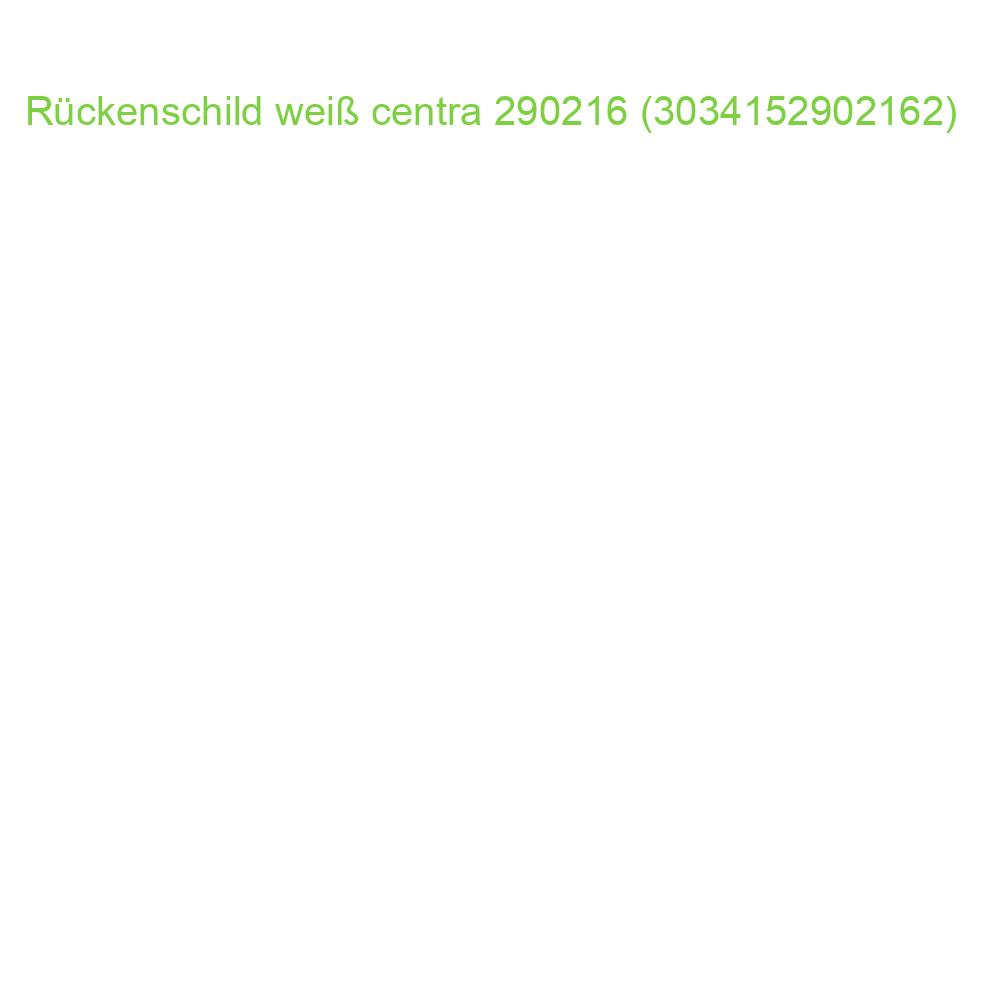 Rückenschilder zum Einstecken Karton kurz schmal 10 Stück weiß CENTRA 290216 (3034152902162)