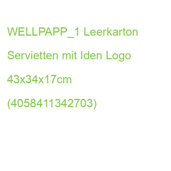 WELLPAPP_1 Leerkarton Servietten mit Iden Logo 43x34x17cm (4058411342703)