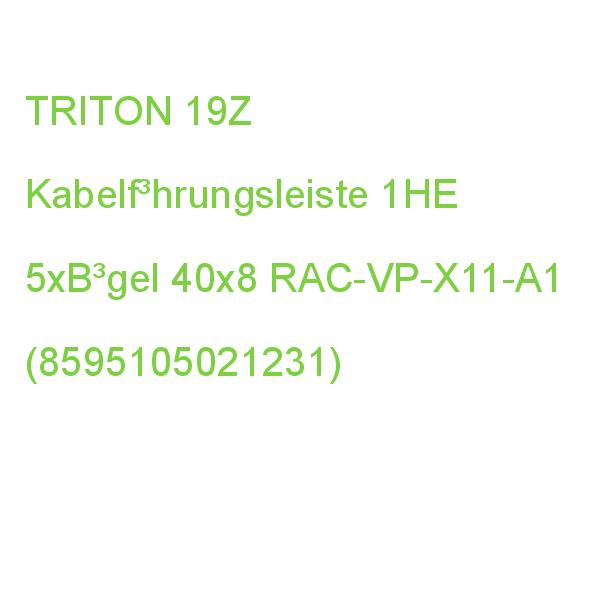 Kabelführungsleiste 1HE TRITON 19Z Kabelf³hrungsleiste 5xB³gel 40x8 RAC-VP-X11-A1 (8595105021231)
