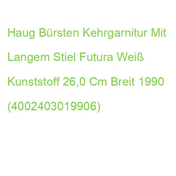 Haug Bürsten Kehrgarnitur Mit Langem Stiel Futura Weiß Kunststoff 26,0 Cm Breit 1990 (4002403019906)