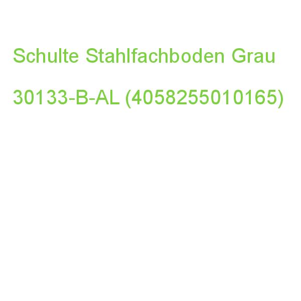 Schulte Stahlfachboden Grau 100,0 X 30,0 Cm 30133-B-AL (4058255010165)