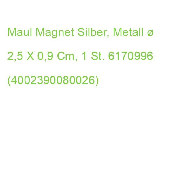 Maul Magnet Silber, Metall  2,5 X 0,9 Cm, 1 St. 6170996 (4002390080026)