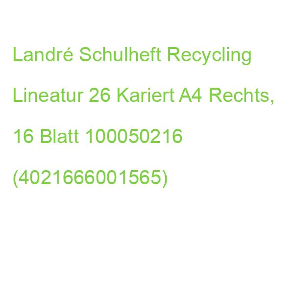 Landre Schulheft Recycling Lineatur 26 Kariert Din A4 Außenrand, 16 Blatt 100050216 (4021666001565)