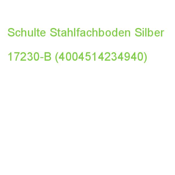 Schulte Stahlfachboden Silber 100,0 X 30,0 Cm 17230-B (4004514234940)