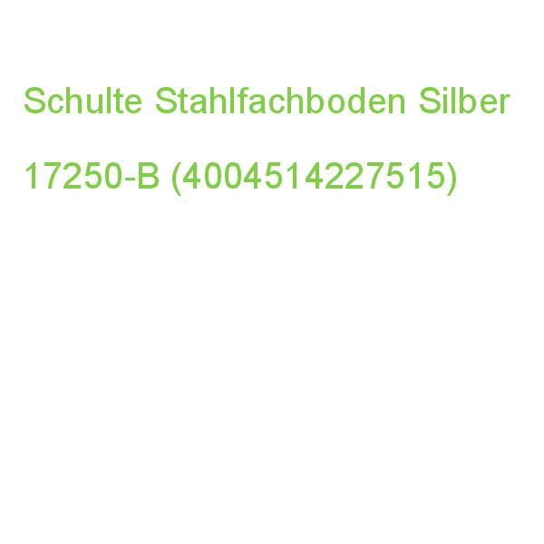 Schulte Stahlfachboden Silber 100,0 X 50,0 Cm 17250-B (4004514227515)