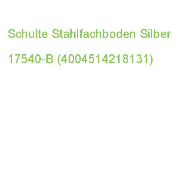 Schulte Stahlfachboden Silber 130,0 X 40,0 Cm 17540-B (4004514218131)