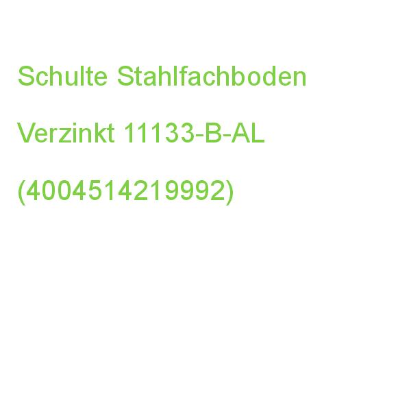Schulte Stahlfachboden Verzinkt 100,0 X 30,0 Cm 11133-B-AL (4004514219992)