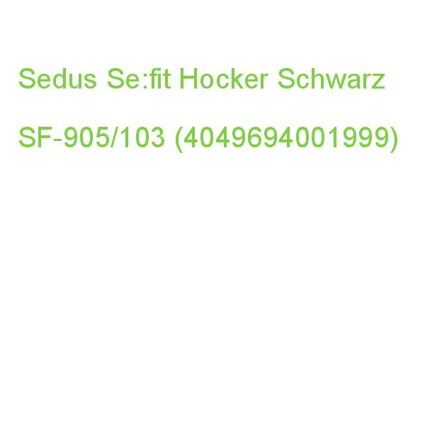 Sedus Hocker Se:fit Sf-905/103 Schwarz (4049694001999)